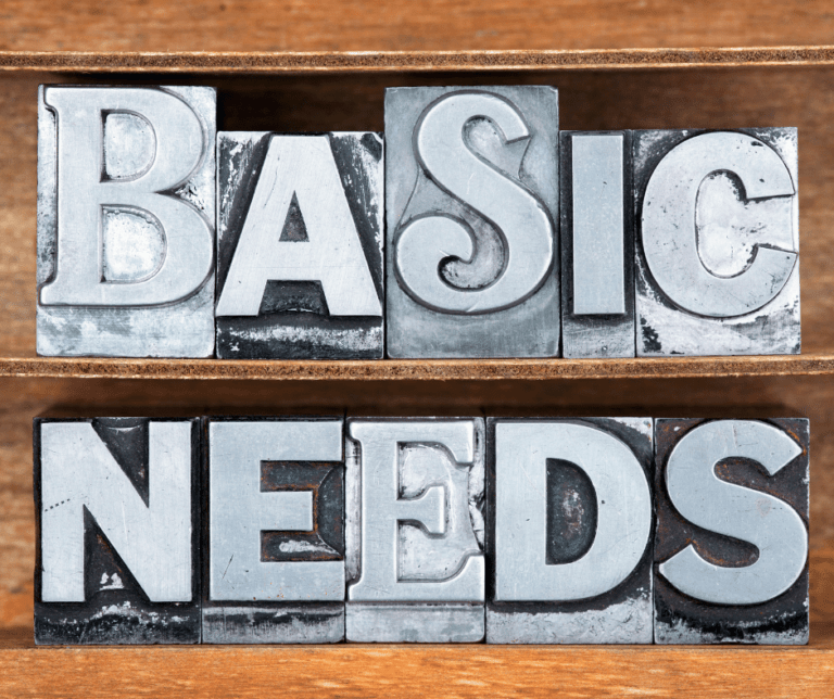 Budget Basic Needs